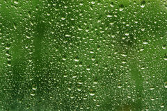 water-drops-green