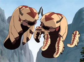 bisons