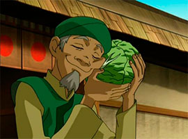 cabbage1