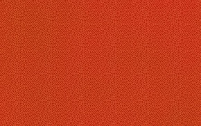 myach-pupyryshki-basketbol