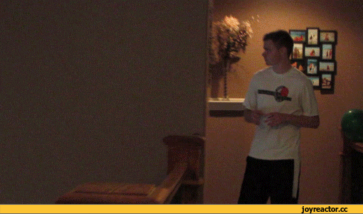 gif-паук-живность-арахнофобия-1258763