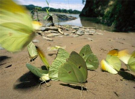 16домгпморднр