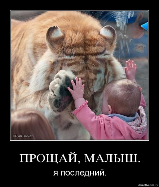 kq3xkcsb8rhn