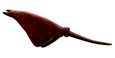 509592280