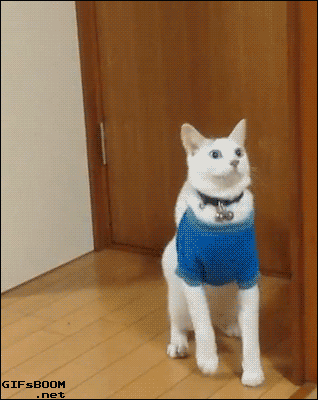https__vk_com_gif_fak(2)