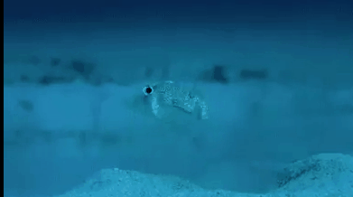 std3rub721_3268312_14865307