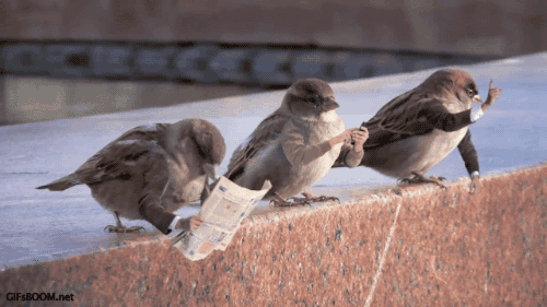 gifs_01_yapfiles_ru