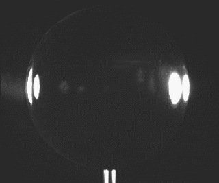 323042_original