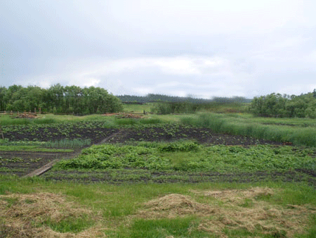 post-3-12778062058611