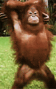 giphy