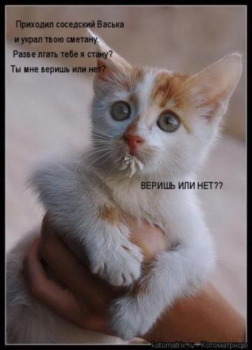 post-24920-0-00071000-1386172466_thumb