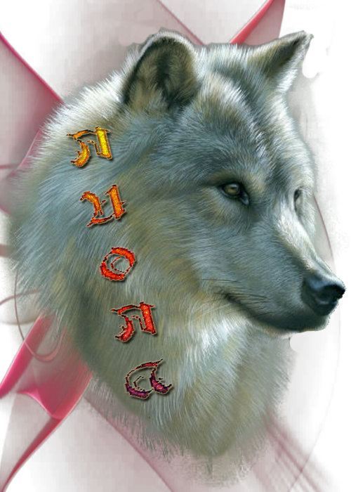 1с