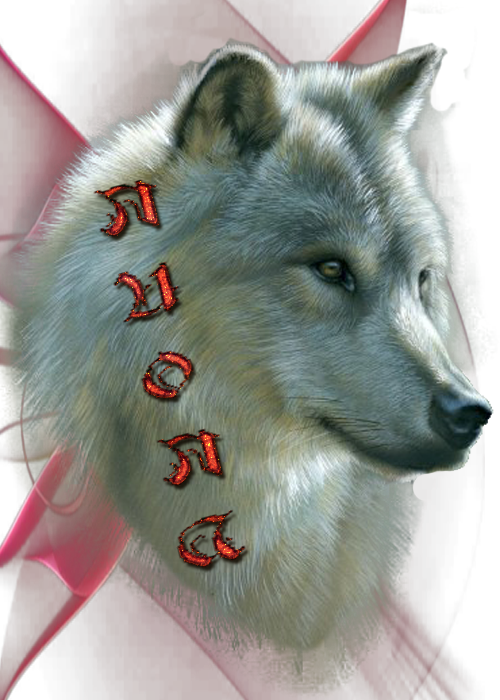 1я