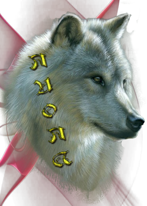 1ячс