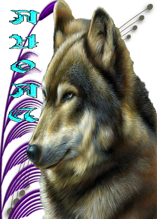 5й