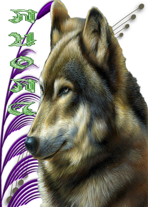 5д