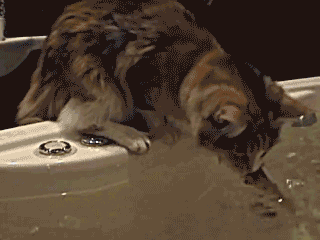 1397029853_1748019774_yapfiles.ru