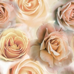 MANHATTAN_BEIGE_D-843_MN