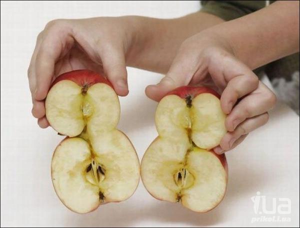 яблоки из чернобыля