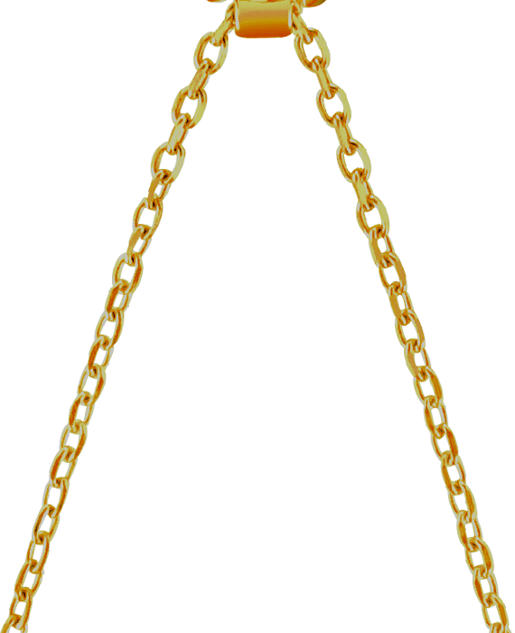 _zolotaya_yapfiles.ru