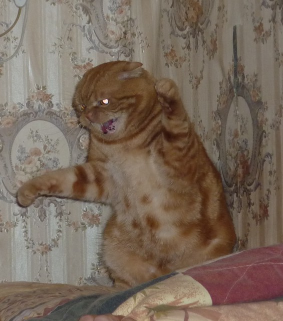Хищник