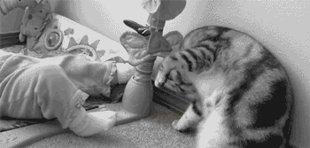 котЭ