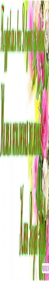 _170x970