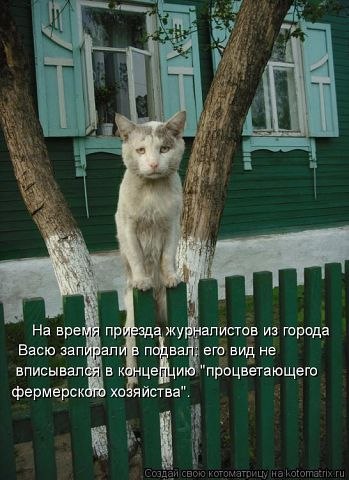 Вася