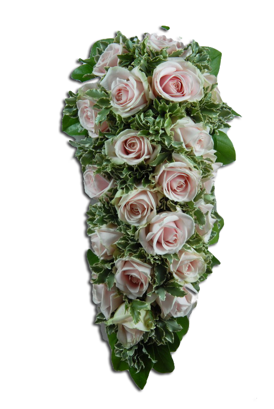 c9cb7211ae67c654dd6c7123f5f4a866