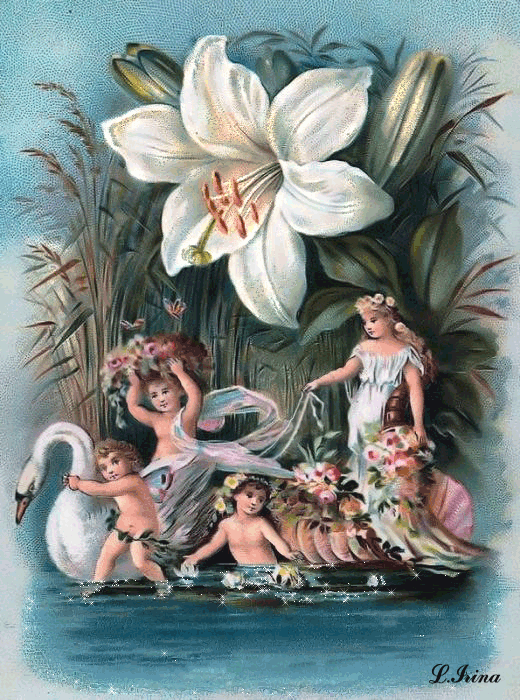 речные забавы