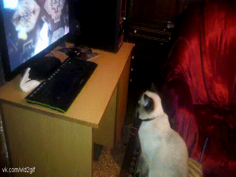 55020c9c1f66e3.90314964