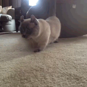 вот это поворот