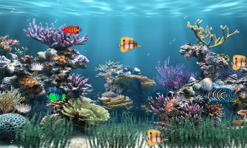 Aquarium Example