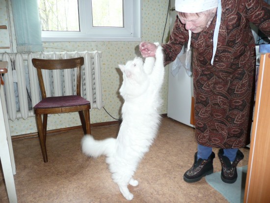 хочу