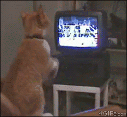 1427351537_gifs_14