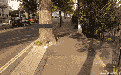 1427866671_gifs_09