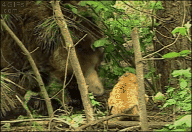 tumblr_nlwisszUHs1tlb56zo1_400