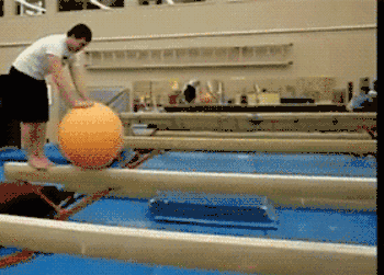 1428039298_gifs_07