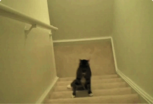 вот сейчас дойду