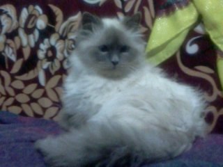 YdaYZeyLWSY