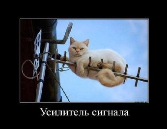340x400-7c712282734742b6239fc80d64db7b91_103496