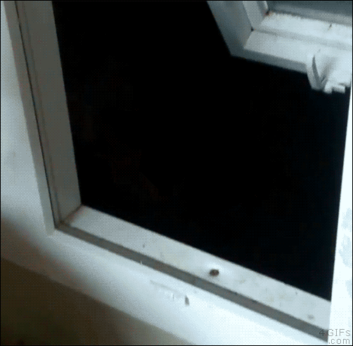 007_Acid Gifdump, February 26, 2015 (25 gifs)