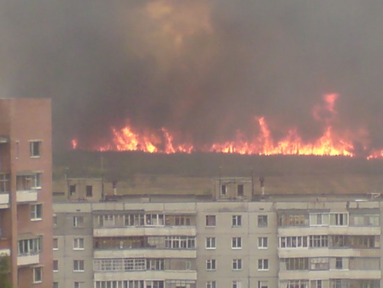 Пожар лес