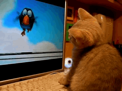 1429145283_gifs_22
