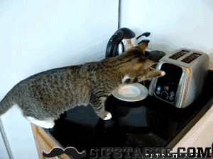 1429066171_gifs_15