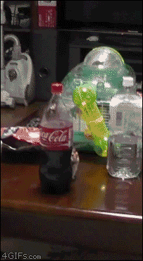 1428461531_gifs_08