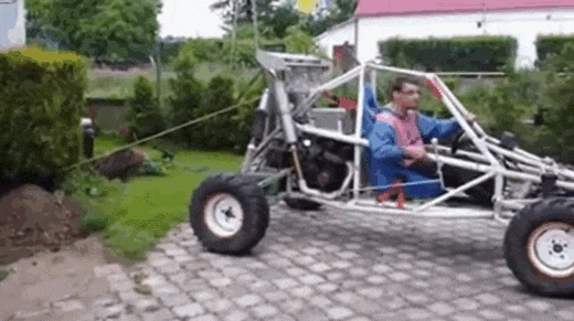 Победило дерево