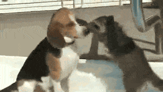 b04e16da18c7fc5c8729d31d0fd