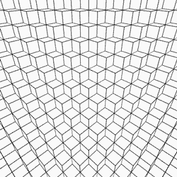 motion-dave-whyte-22