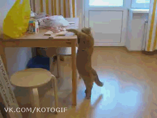 1365704322_1364413154_yapfiles.ru